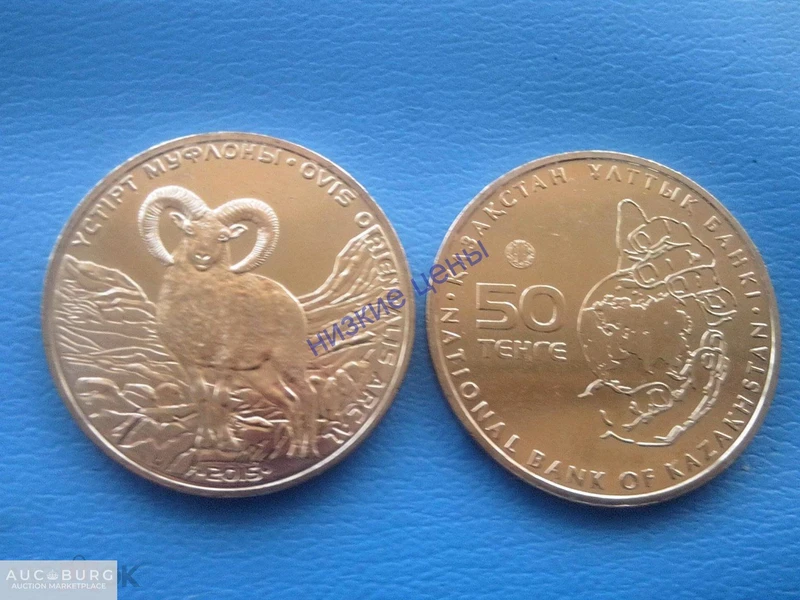 Казахстан 50 тенге Устюрский муфлон 2015 Блистер Ovis qmelini - additional Photos