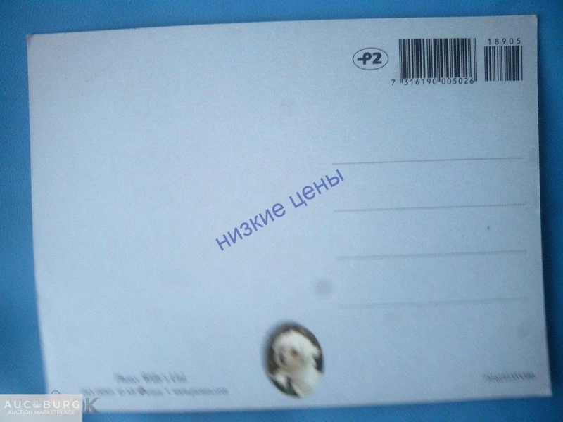 Польша  Собака Шенок - additional Photos