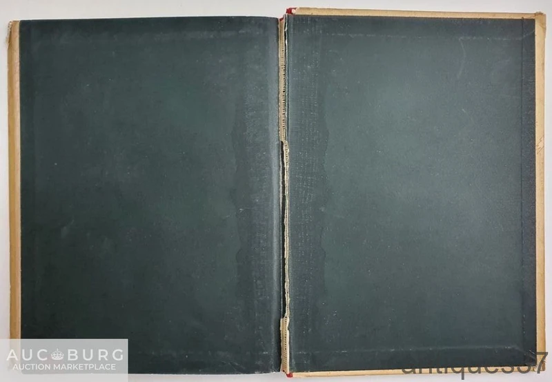 Книга На весенней заре / В.П. Желиховская, 1904 г. - additional Photos