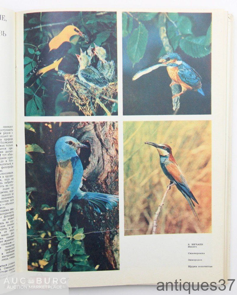 Журнал Советское фото (подшивка из 12 номеров) / 1978 год - additional Photos