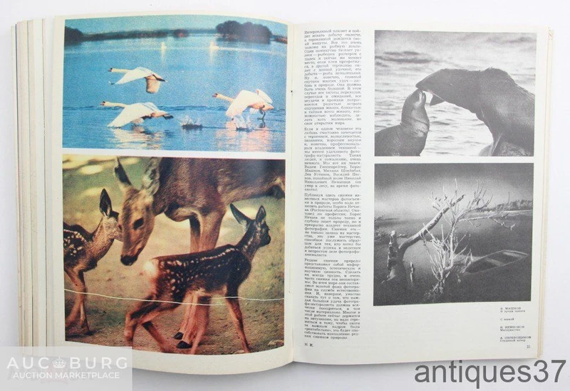 Журнал Советское фото (подшивка из 12 номеров) / 1978 год - additional Photos