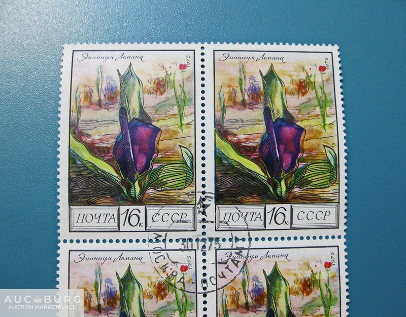 СССР. Флора. Эминиум Лемана.  Квартблок,1975 г. - additional Photos