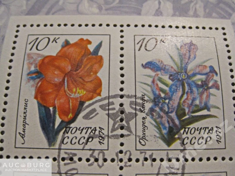 СССР. Флора тропиков и субтропиков.  Блок,1971 г. - additional Photos