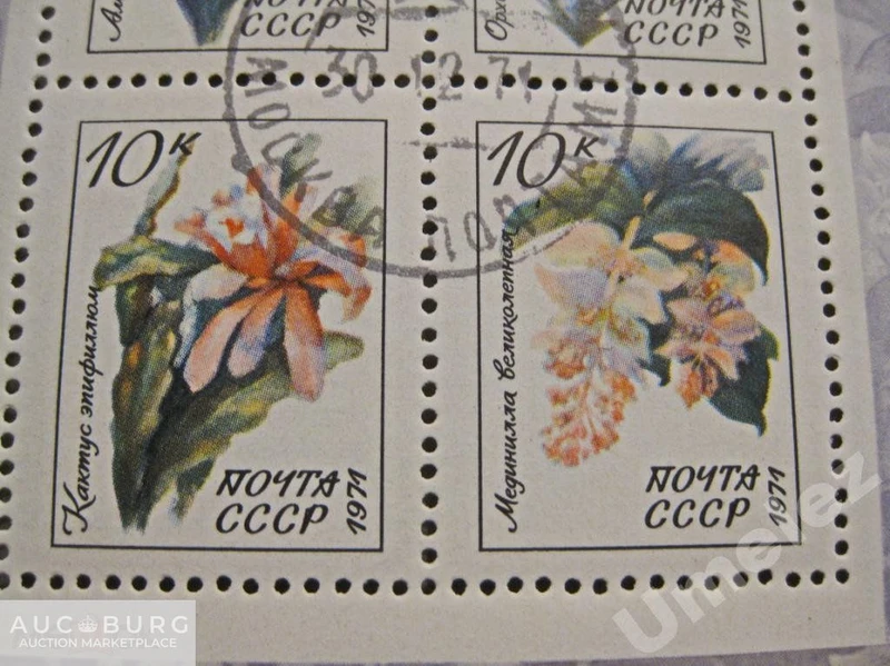 СССР. Флора тропиков и субтропиков.  Блок,1971 г. - additional Photos