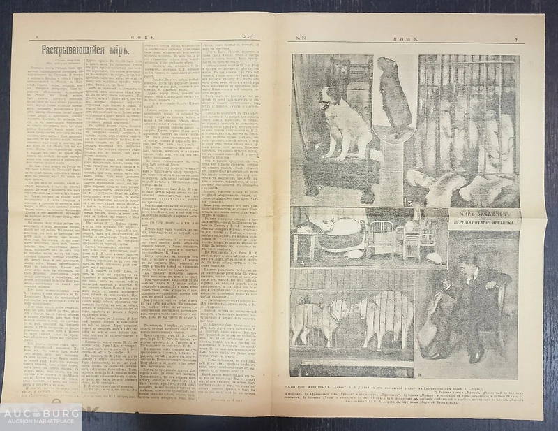 Газета Новь, 1914 год - additional Photos